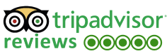 TripAdvisor Reviews